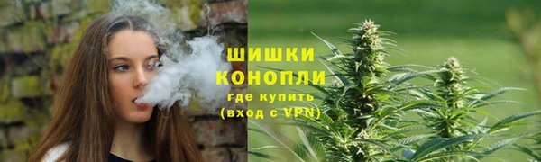 PSILOCYBIN Белокуриха