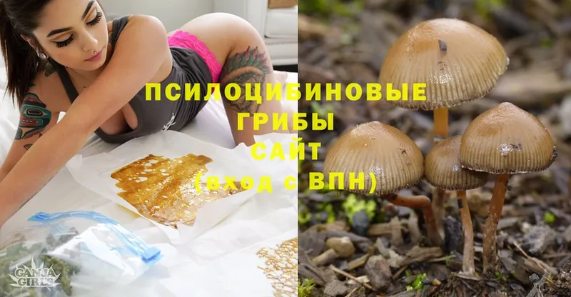 купить  цена  ссылка на мегу маркетплейс  Псилоцибиновые грибы Magic Shrooms  Чусовой 